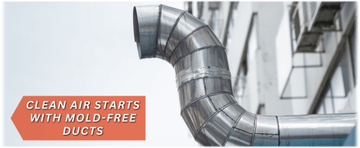 Air Duct Mold Removal in Manhattan Beach