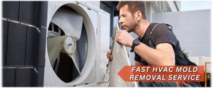 HVAC Mold Removal Manhattan Beach